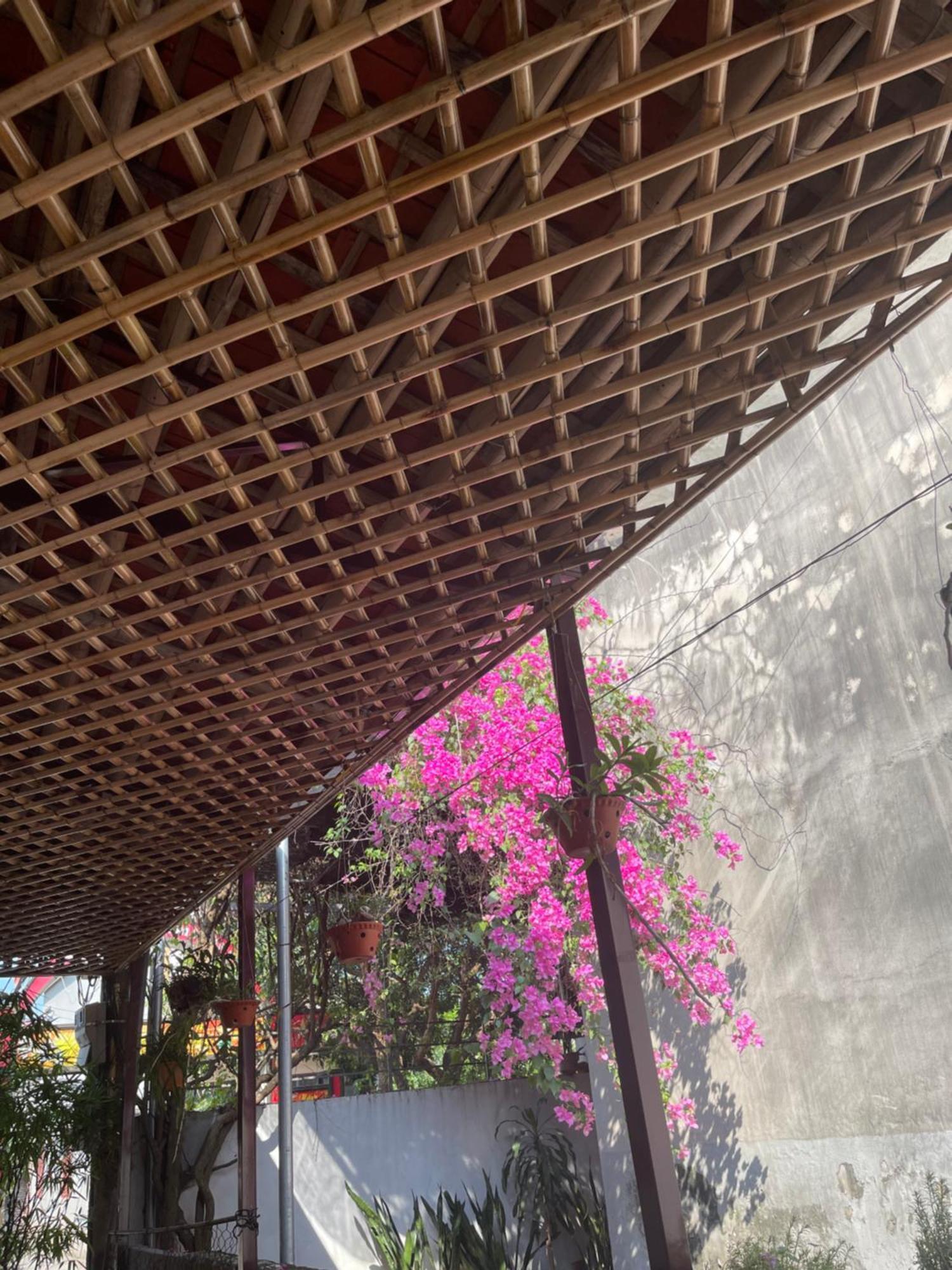 Thuy Xuyen Tam Coc Homestay Vu Lam Buitenkant foto